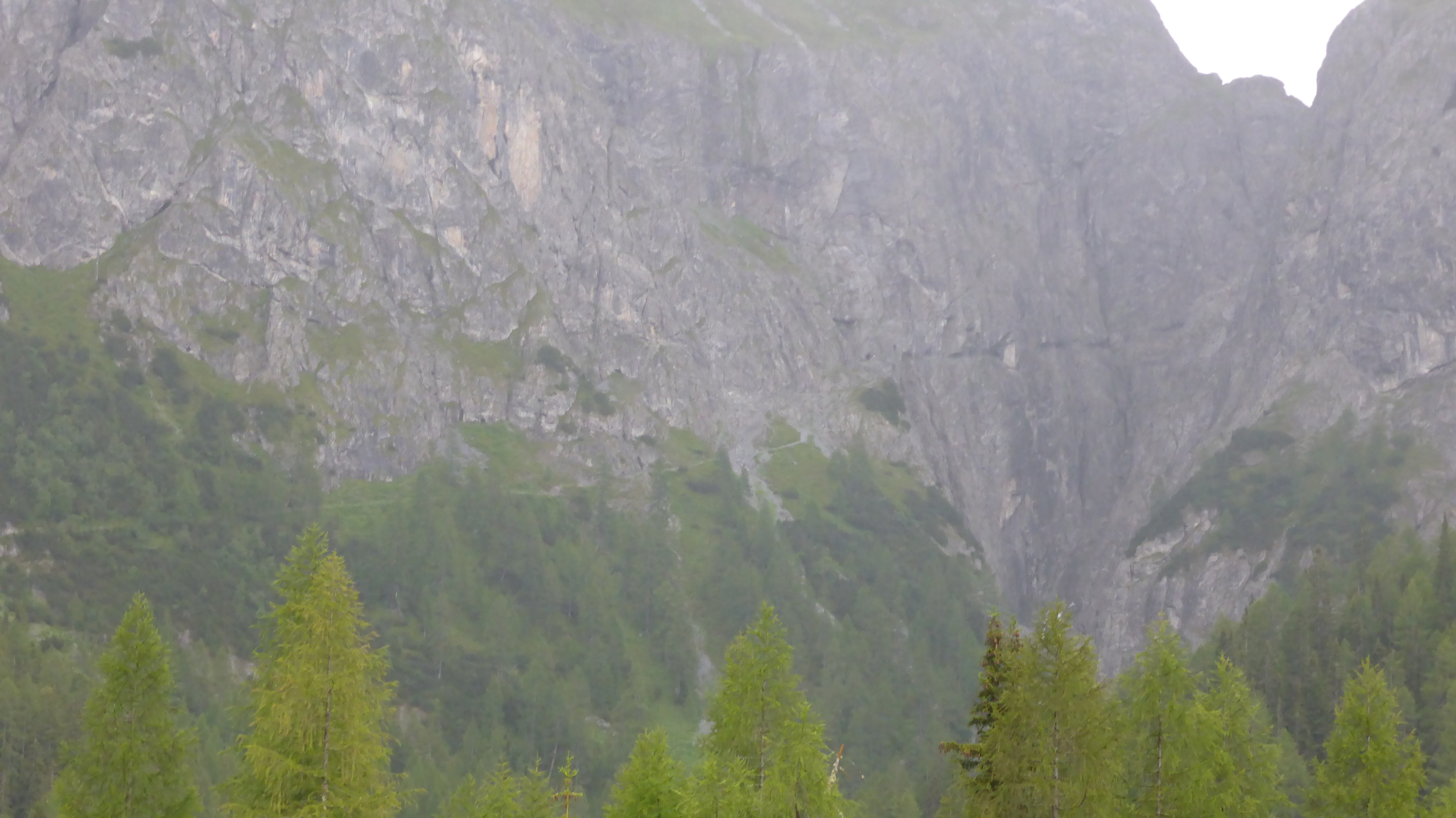 P1090852